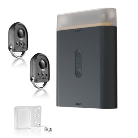 Somfy Rollixo iO Premium 1871485