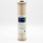 Filtre ECP1-20BB Pentair Plissée