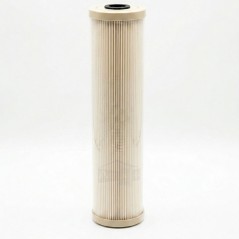 Filtre ECP1-20BB Pentair Plissée