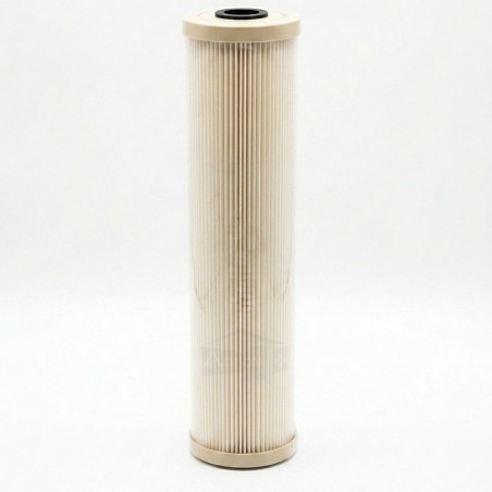 Filtre ECP1-20BB Pentair Plissée