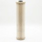 Filtre ECP1-20BB Pentair Plissée