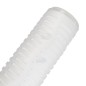 Cartouche de Filtration Polyray 20 Pouces submicronique