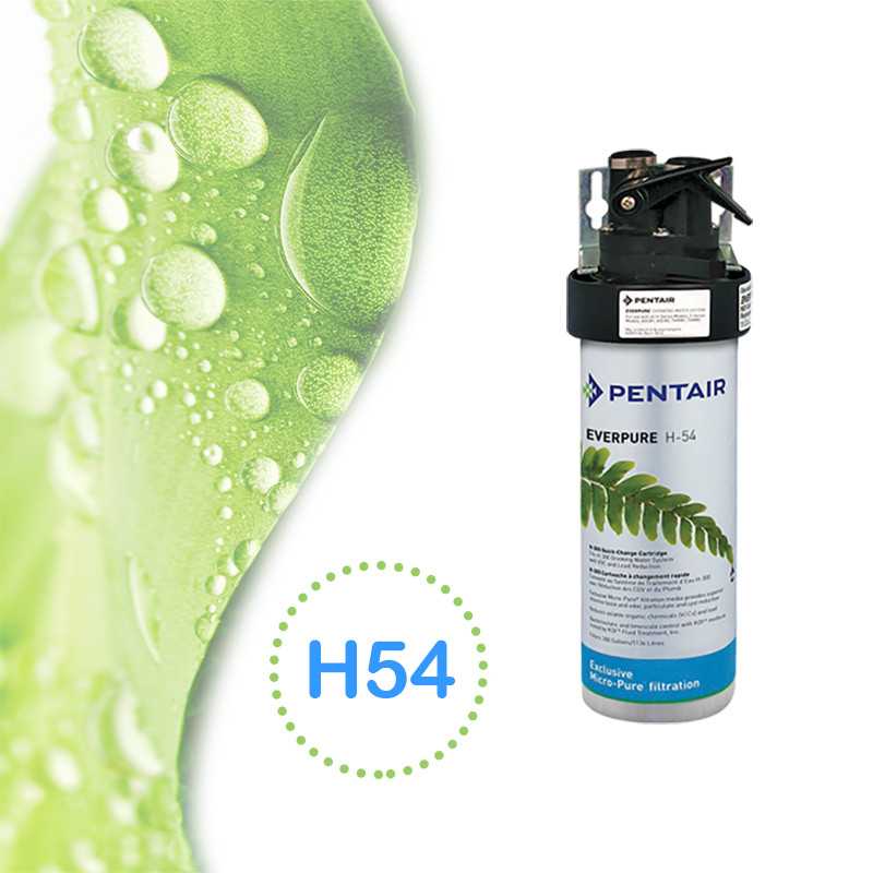 Filtre Everpure H-54