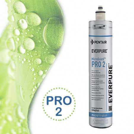 cartouche everpure pro 2