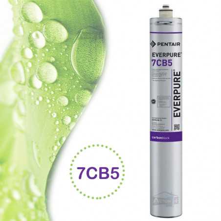 Cartouche filtre Everpure 7CB5