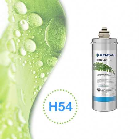 Cartouche filtre Everpure H-54