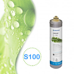 cartouche everpure s100