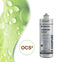 cartouche filtrante everpure ocs2