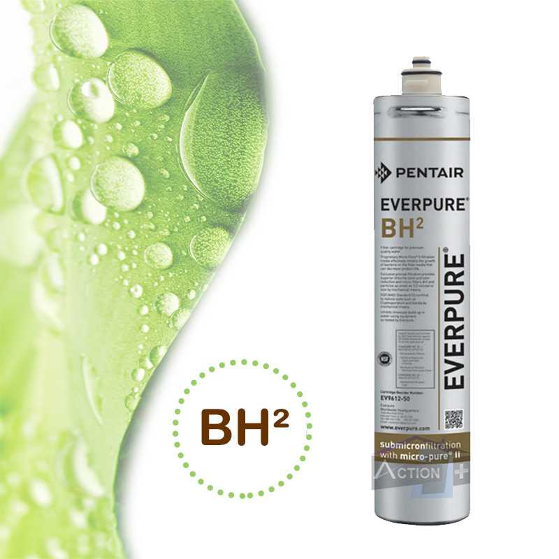 Cartouche filtre Everpure BH2