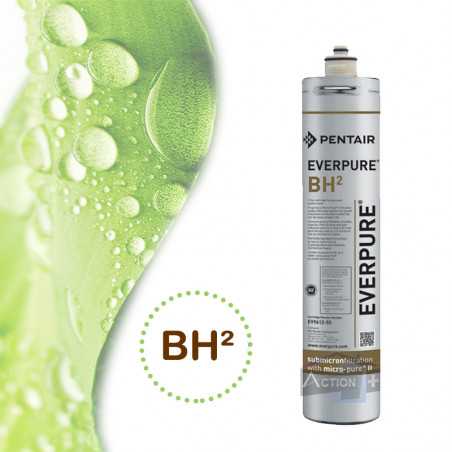 cartouche everpure bh2