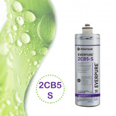 Filtre Everpure 2cb5s