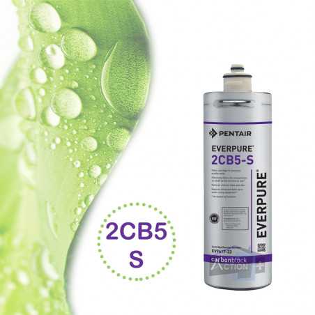 Filtre Everpure 2cb5s