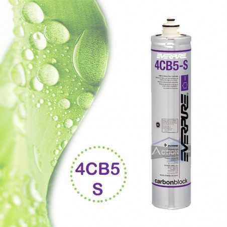 filtre everpure 4cb5s
