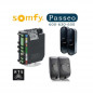 Kit de remplacement Somfy Passeo