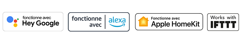 assistant vocal connecté compatible Tahoma