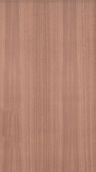 Sapelli