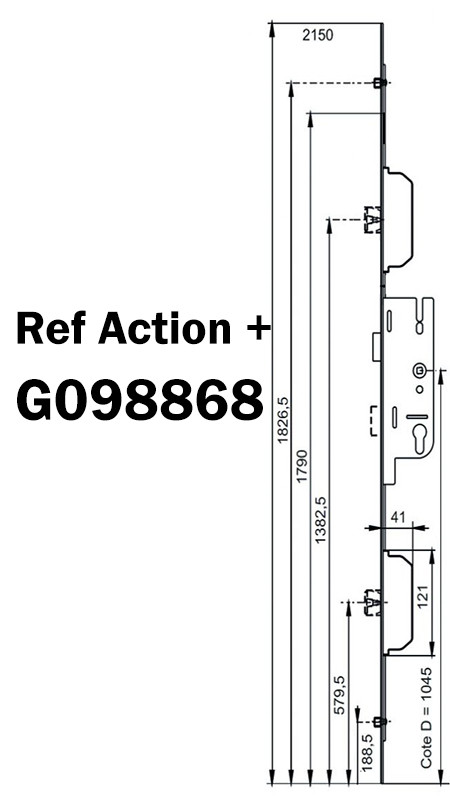 G098868